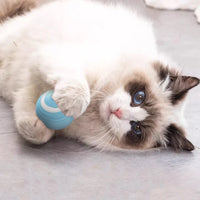 Cat Interactive Ball Toy